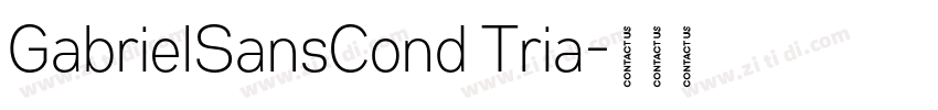 GabrielSansCond Tria字体转换